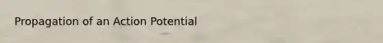 Propagation of an Action Potential