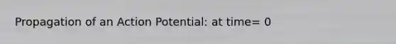 Propagation of an Action Potential: at time= 0