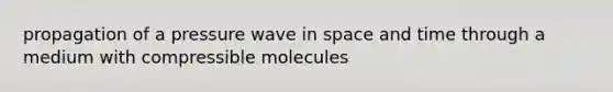 propagation of a pressure wave in space and time through a medium with compressible molecules