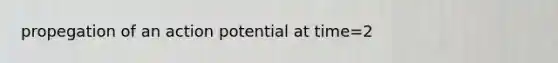 propegation of an action potential at time=2