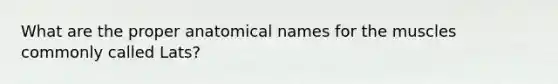 What are the proper anatomical names for the muscles commonly called Lats?