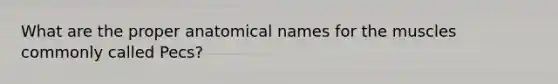 What are the proper anatomical names for the muscles commonly called Pecs?