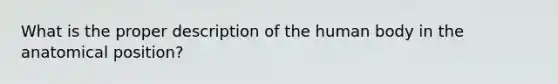 What is the proper description of the human body in the anatomical position?