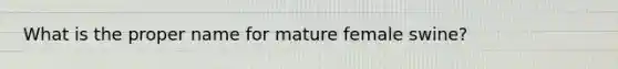 What is the proper name for mature female swine?