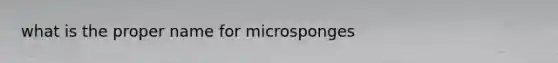 what is the proper name for microsponges