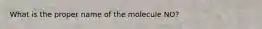 What is the proper name of the molecule NO?