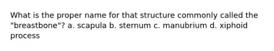 What is the proper name for that structure commonly called the "breastbone"? a. scapula b. sternum c. manubrium d. xiphoid process