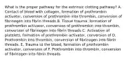 What is the proper pathway for the extrinsic clotting pathway? A. Contact of blood with collagen, formation of prothrombin activator, conversion of prothrombin into thrombin, conversion of fibrinogen into fibrin threads B. Tissue trauma, formation of prothrombin activator, conversion of prothrombin into thrombin, conversion of fibrinogen into fibrin threads C. Activation of platelets, formation of prothrombin activator, conversion of D. Prothrombin into thrombin, conversion of fibrinogen into fibrin threads. E. Trauma to the blood, formation of prothrombin activator, conversion of F. Prothrombin into thrombin, conversion of fibrinogen into fibrin threads