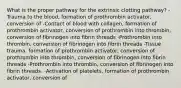 What is the proper pathway for the extrinsic clotting pathway? -Trauma to the blood, formation of prothrombin activator, conversion of -Contact of blood with collagen, formation of prothrombin activator, conversion of prothrombin into thrombin, conversion of fibrinogen into fibrin threads -Prothrombin into thrombin, conversion of fibrinogen into fibrin threads -Tissue trauma, formation of prothrombin activator, conversion of prothrombin into thrombin, conversion of fibrinogen into fibrin threads -Prothrombin into thrombin, conversion of fibrinogen into fibrin threads. -Activation of platelets, formation of prothrombin activator, conversion of