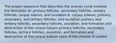 The proper sequence that describes the ovarian cycle involves the formation of: primary follicles, secondary follicles, tertiary follicles, corpus luteum, and ovulation B. corpus luteum; primary, secondary, and tertiary follicles; and ovulation primary and tertiary follicles, secondary follicles, ovulation, and formation and destruction of the corpus luteum primary follicles, secondary follicles, tertiary follicles, ovulation, and formation and destruction of the corpus luteum none of the choices is correct