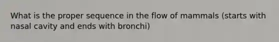 What is the proper sequence in the flow of mammals (starts with nasal cavity and ends with bronchi)