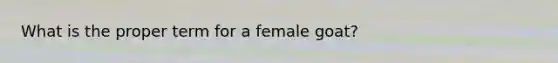 What is the proper term for a female goat?