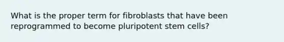 What is the proper term for fibroblasts that have been reprogrammed to become pluripotent stem cells?