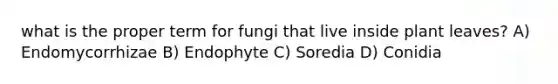 what is the proper term for fungi that live inside plant leaves? A) Endomycorrhizae B) Endophyte C) Soredia D) Conidia