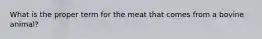 What is the proper term for the meat that comes from a bovine animal?