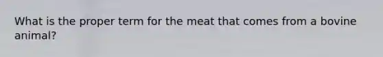 What is the proper term for the meat that comes from a bovine animal?