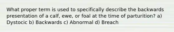 What proper term is used to specifically describe the backwards presentation of a calf, ewe, or foal at the time of parturition? a) Dystocic b) Backwards c) Abnormal d) Breach