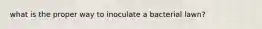 what is the proper way to inoculate a bacterial lawn?