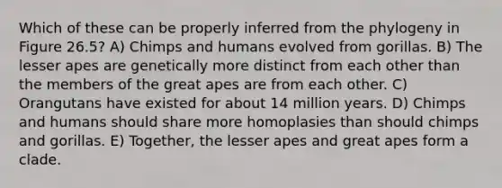 Which of these can be properly inferred from the phylogeny in Figure 26.5? A) Chimps and humans evolved from gorillas. B) The lesser apes are genetically more distinct from each other than the members of the great apes are from each other. C) Orangutans have existed for about 14 million years. D) Chimps and humans should share more homoplasies than should chimps and gorillas. E) Together, the lesser apes and great apes form a clade.