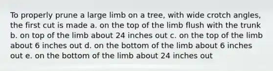 To properly prune a large limb on a tree, with wide crotch angles, the first cut is made a. on the top of the limb flush with the trunk b. on top of the limb about 24 inches out c. on the top of the limb about 6 inches out d. on the bottom of the limb about 6 inches out e. on the bottom of the limb about 24 inches out