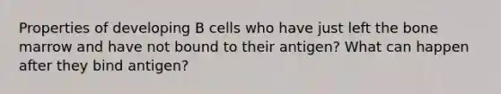 Properties of developing B cells who have just left the bone marrow and have not bound to their antigen? What can happen after they bind antigen?