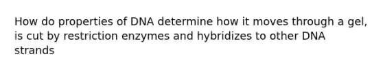 How do properties of DNA determine how it moves through a gel, is cut by restriction enzymes and hybridizes to other DNA strands