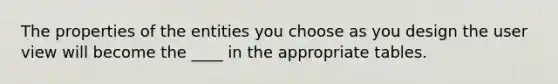 The properties of the entities you choose as you design the user view will become the ____ in the appropriate tables.