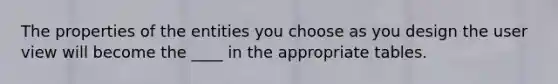 The properties of the entities you choose as you design the user view will become the ____ in the appropriate tables.​