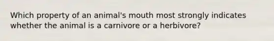 Which property of an animal's mouth most strongly indicates whether the animal is a carnivore or a herbivore?