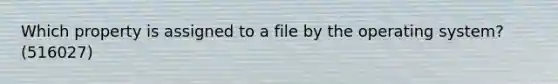 Which property is assigned to a file by the operating system? (516027)