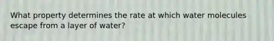 What property determines the rate at which water molecules escape from a layer of water?