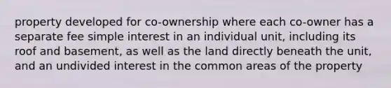 property developed for co-ownership where each co-owner has a separate fee simple interest in an individual unit, including its roof and basement, as well as the land directly beneath the unit, and an undivided interest in the common areas of the property
