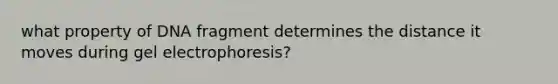 what property of DNA fragment determines the distance it moves during gel electrophoresis?