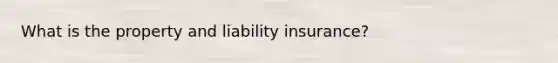 What is the property and liability insurance?