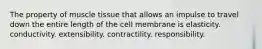 The property of muscle tissue that allows an impulse to travel down the entire length of the cell membrane is elasticity. conductivity. extensibility. contractility. responsibility.