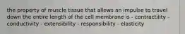 the property of muscle tissue that allows an impulse to travel down the entire length of the cell membrane is - contractility - conductivity - extensibility - responsibility - elasticity