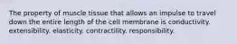 The property of muscle tissue that allows an impulse to travel down the entire length of the cell membrane is conductivity. extensibility. elasticity. contractility. responsibility.