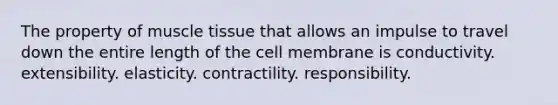 The property of muscle tissue that allows an impulse to travel down the entire length of the cell membrane is conductivity. extensibility. elasticity. contractility. responsibility.