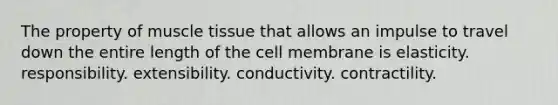 The property of muscle tissue that allows an impulse to travel down the entire length of the cell membrane is elasticity. responsibility. extensibility. conductivity. contractility.