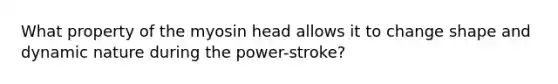 What property of the myosin head allows it to change shape and dynamic nature during the power-stroke?