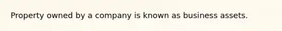 Property owned by a company is known as business assets.