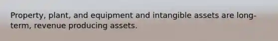 Property, plant, and equipment and intangible assets are long-term, revenue producing assets.