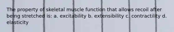 The property of skeletal muscle function that allows recoil after being stretched is: a. excitability b. extensibility c. contractility d. elasticity