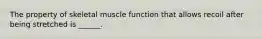 The property of skeletal muscle function that allows recoil after being stretched is ______.