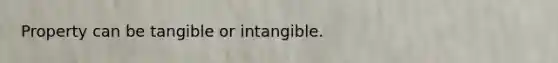 Property can be tangible or intangible.