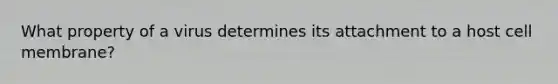 What property of a virus determines its attachment to a host cell membrane?