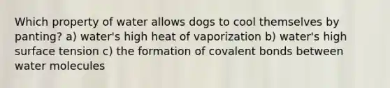 Which property of water allows dogs to cool themselves by panting? a) water's high heat of vaporization b) water's high surface tension c) the formation of <a href='https://www.questionai.com/knowledge/kWply8IKUM-covalent-bonds' class='anchor-knowledge'>covalent bonds</a> between water molecules