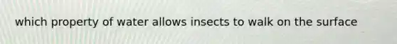 which property of water allows insects to walk on the surface