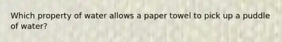 Which property of water allows a paper towel to pick up a puddle of water?