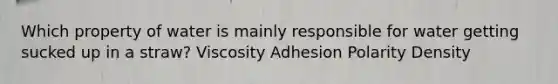 Which property of water is mainly responsible for water getting sucked up in a straw? Viscosity Adhesion Polarity Density